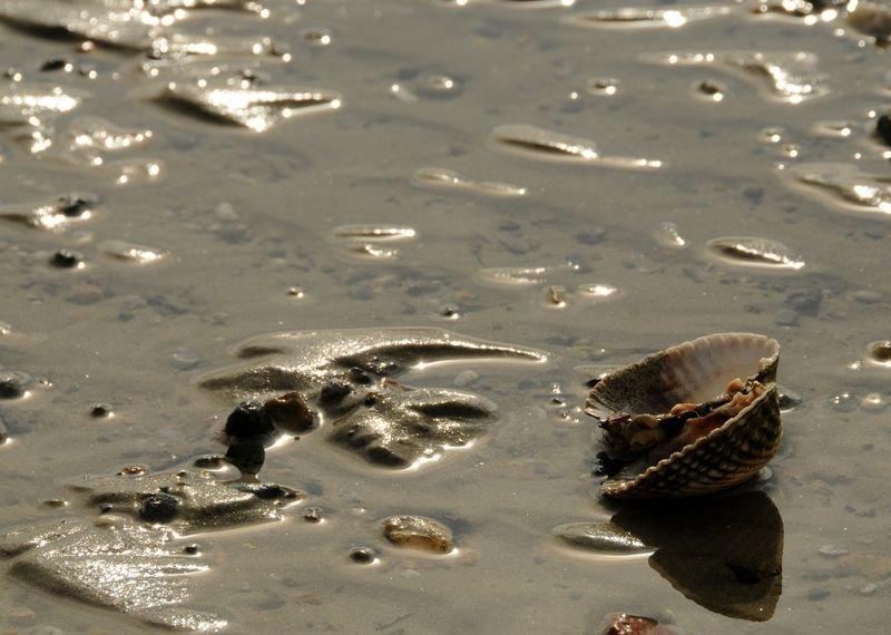 Çanakkale Boğazı'nda deniz suyu çekildi