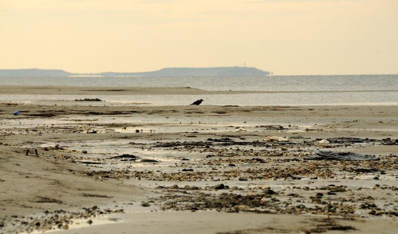 Çanakkale Boğazı'nda deniz suyu çekildi