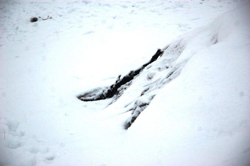 Malatya'daki uçak kazasından ilk görüntüler
