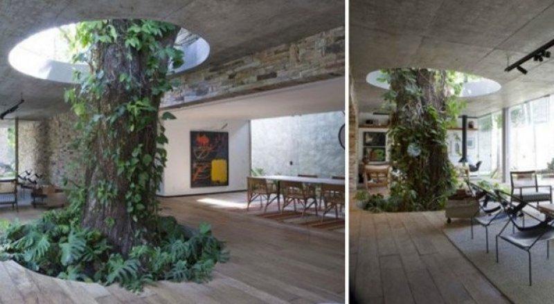 Dekorasyonda çarpıcı tasarımlar