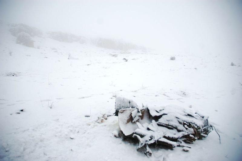 Malatya'daki uçak kazasından ilk görüntüler