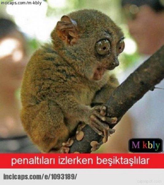 Beşiktaş-Liverpool maçı capsleri