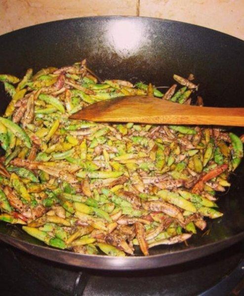 Dünyanın farklı yerlerinden tuhaf lezzetler