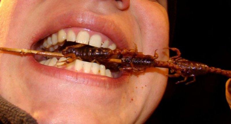 Dünyanın farklı yerlerinden tuhaf lezzetler