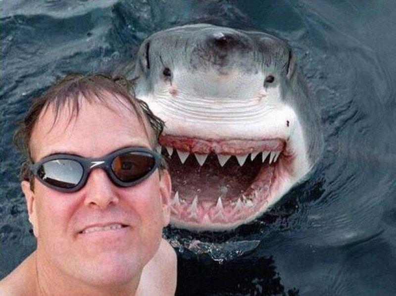 Dünyanın en çılgın selfie fotoğrafları