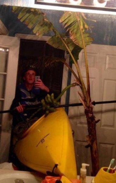 Dünyanın en çılgın selfie fotoğrafları