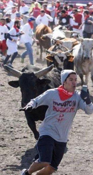 Dünyanın en çılgın selfie fotoğrafları