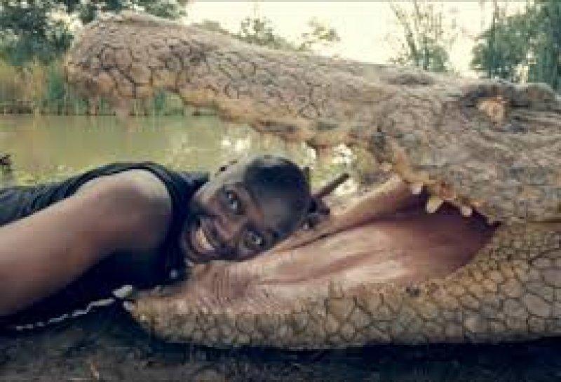 Dünyanın en çılgın selfie fotoğrafları