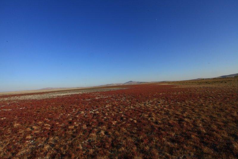 81 ilden fotoğraflarla Gizem Dolu Anadolu sergisi 