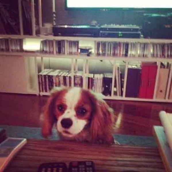 Ünlülerin ev hallerini yansıtan sosyal medya paylaşımları