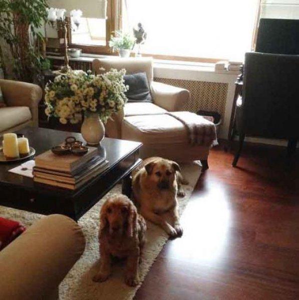 Ünlülerin ev hallerini yansıtan sosyal medya paylaşımları