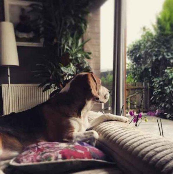 Ünlülerin ev hallerini yansıtan sosyal medya paylaşımları