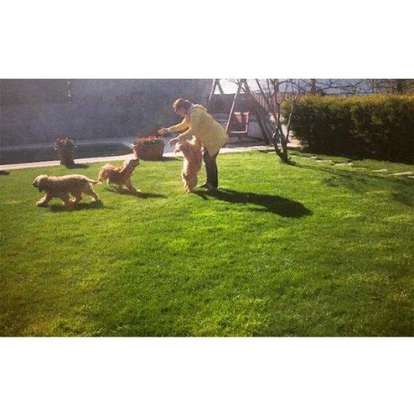 Instagram'da ünlülerin 14 Nisan paylaşımları 