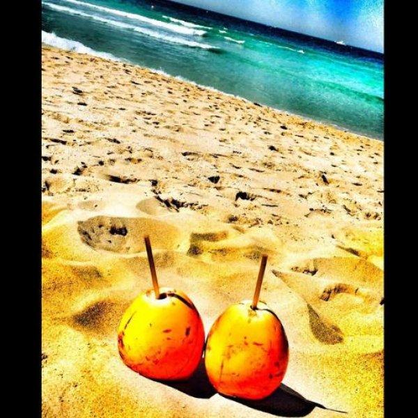 Özge Ulusoy ile Hacı Sabancı tatile çıktı