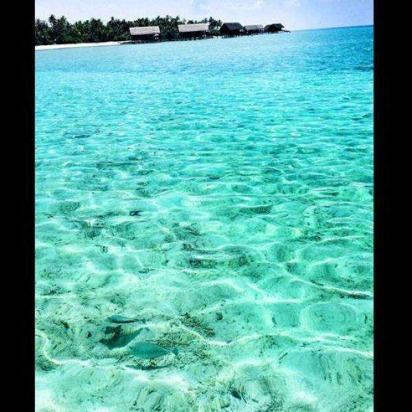 Özge Ulusoy ile Hacı Sabancı tatile çıktı