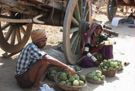 İnsanlığın bilinmeyen toplulukları