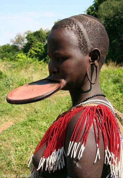 İnsanlığın bilinmeyen toplulukları