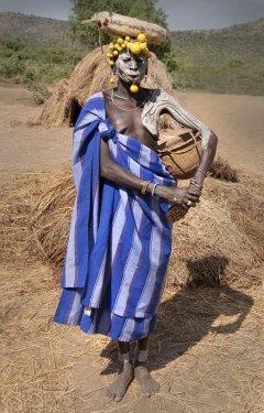 İnsanlığın bilinmeyen toplulukları