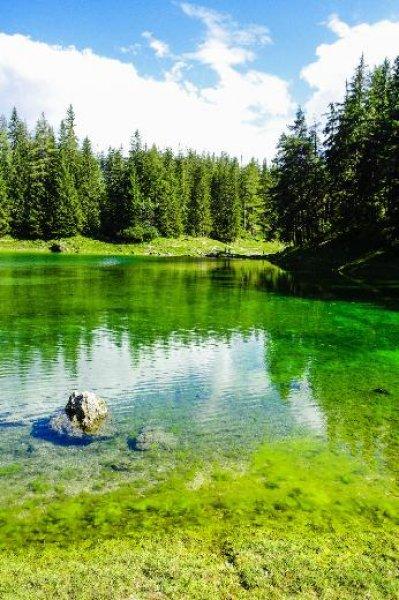 Tragöss  bölgesindeki Yeşil Göl ziyaretçilerini hayran bırakıyor 
