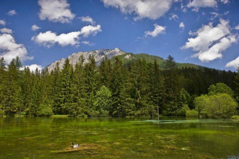 Tragöss  bölgesindeki Yeşil Göl ziyaretçilerini hayran bırakıyor 