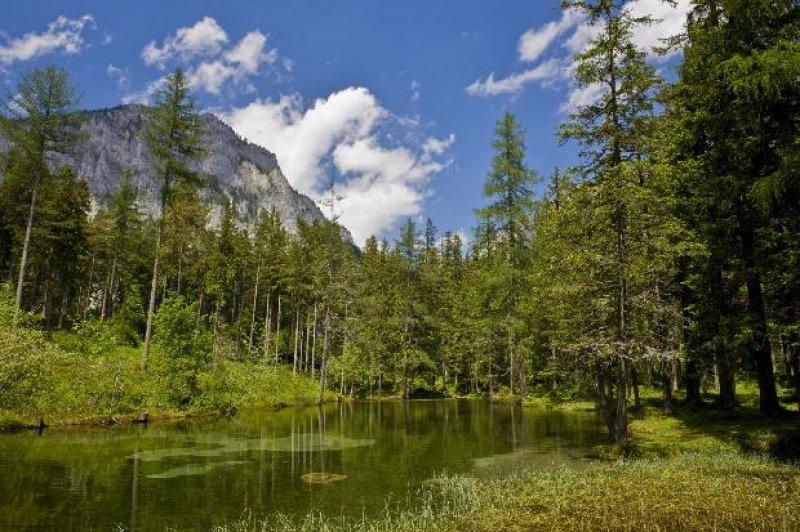 Tragöss  bölgesindeki Yeşil Göl ziyaretçilerini hayran bırakıyor 
