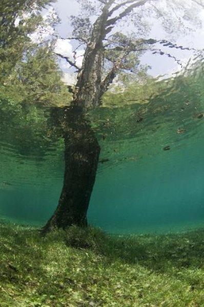 Tragöss  bölgesindeki Yeşil Göl ziyaretçilerini hayran bırakıyor 