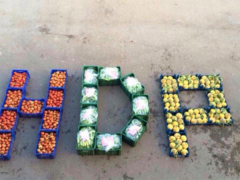 HDP'ye destek için paylaşılan ilginç fotoğraflar