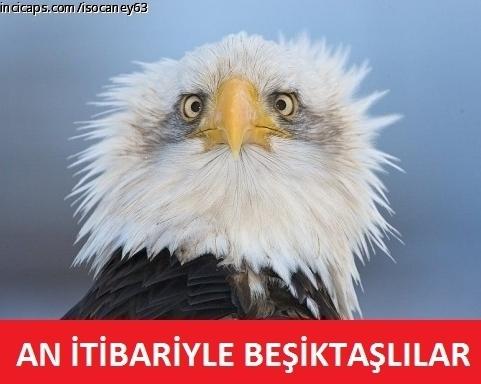 Spor Toto Süper Lig'de son durumu özetleyen capsler