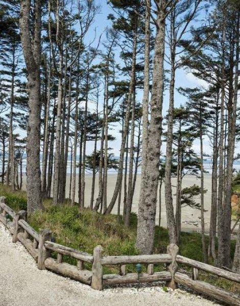 Ünlülerin yazlık evleri 