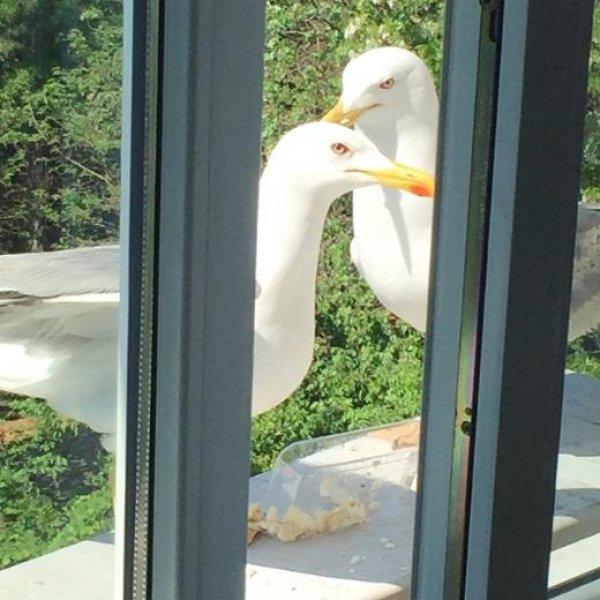 Ünlülerden 16 Mayıs Instagram paylaşımları 