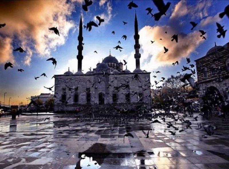 Ünlülerin Instagram hesabından 1 Haziran paylaşımları