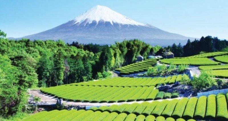 Dünyanın en güzel yanardağları