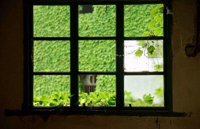 Masal gibi görünen eski balıkçı köyü  - Resim 11