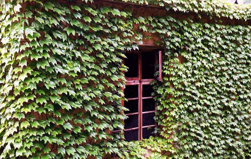 Masal gibi görünen eski balıkçı köyü  - Resim 8