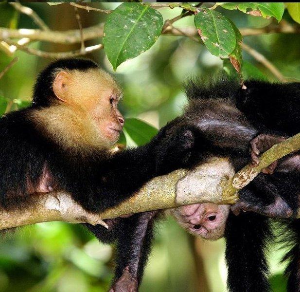 National Geographic'in ilk Türk fotoğrafçısı Dr. Çağan Şekercioğlu oldu 