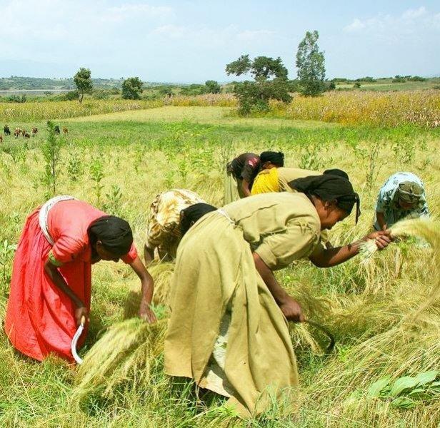 National Geographic'in ilk Türk fotoğrafçısı Dr. Çağan Şekercioğlu oldu 