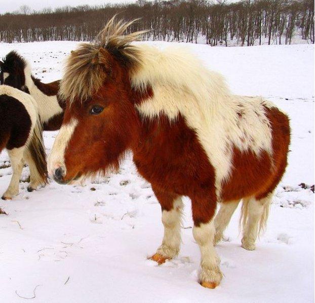 National Geographic'in ilk Türk fotoğrafçısı Dr. Çağan Şekercioğlu oldu 