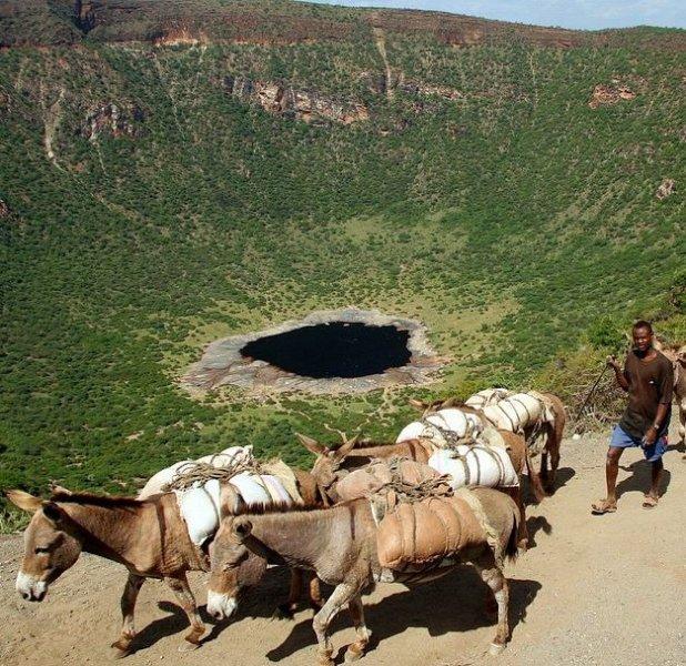 National Geographic'in ilk Türk fotoğrafçısı Dr. Çağan Şekercioğlu oldu 