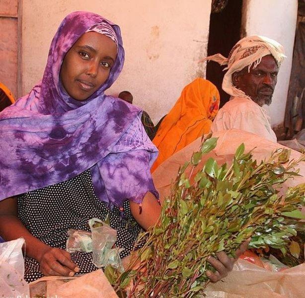 National Geographic'in ilk Türk fotoğrafçısı Dr. Çağan Şekercioğlu oldu 