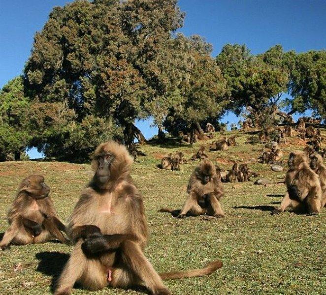 National Geographic'in ilk Türk fotoğrafçısı Dr. Çağan Şekercioğlu oldu 