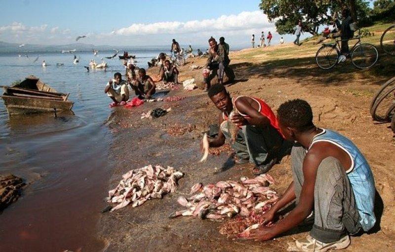 National Geographic'in ilk Türk fotoğrafçısı Dr. Çağan Şekercioğlu oldu 