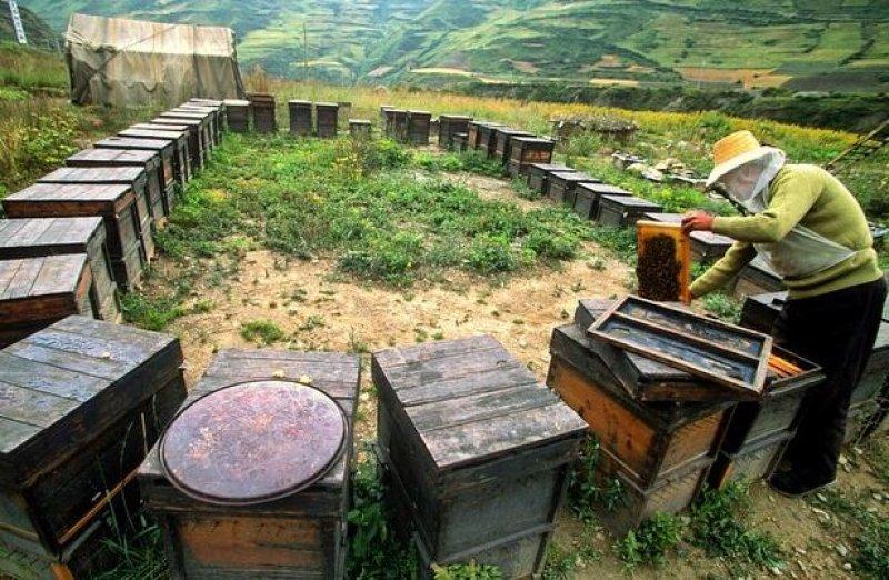 National Geographic'in ilk Türk fotoğrafçısı Dr. Çağan Şekercioğlu oldu 