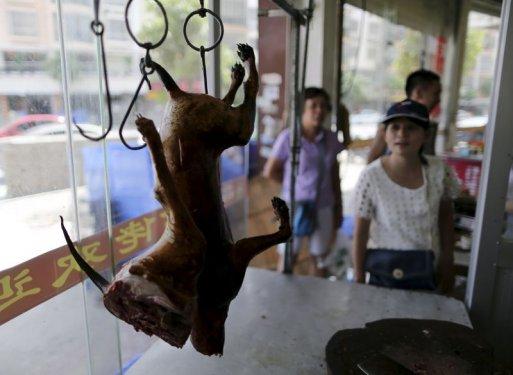 Çin'de köpek yeme festivali yapıldı