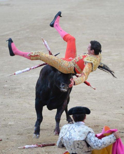 İspanya'da boğa güreşi düzenlendi