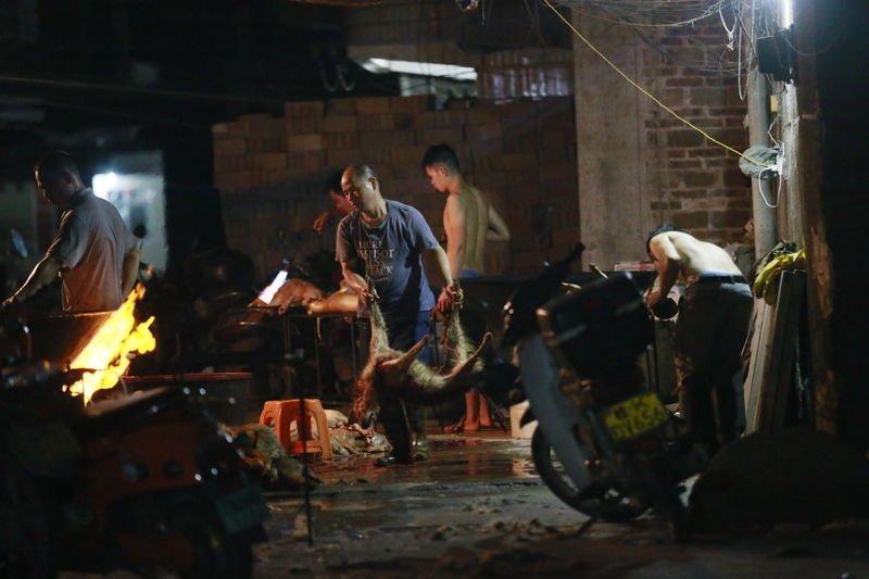 Çin'de köpek yeme festivali yapıldı