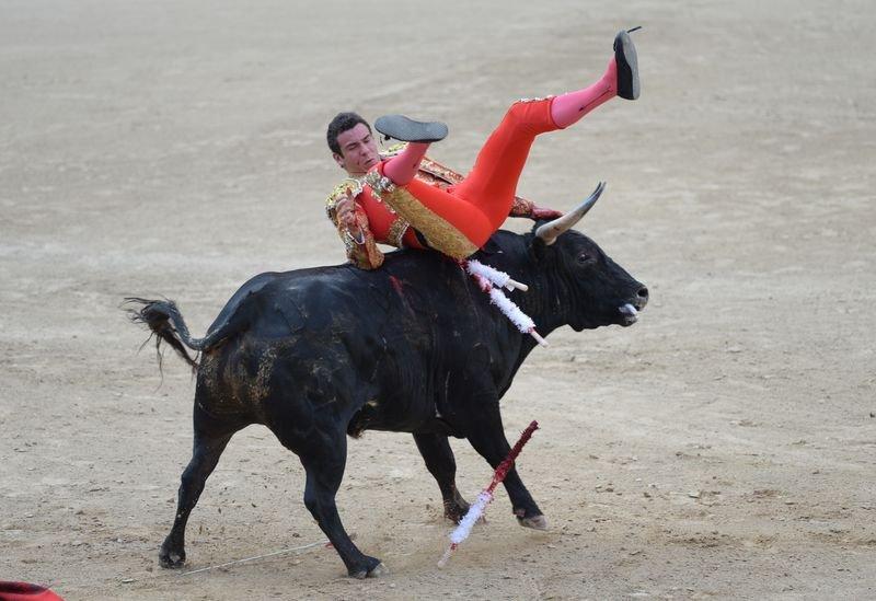 İspanya'da boğa güreşi düzenlendi