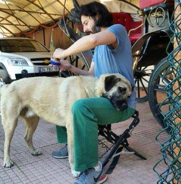 Ünlülerin objektifinden 22 Haziran Instagram paylaşımları 