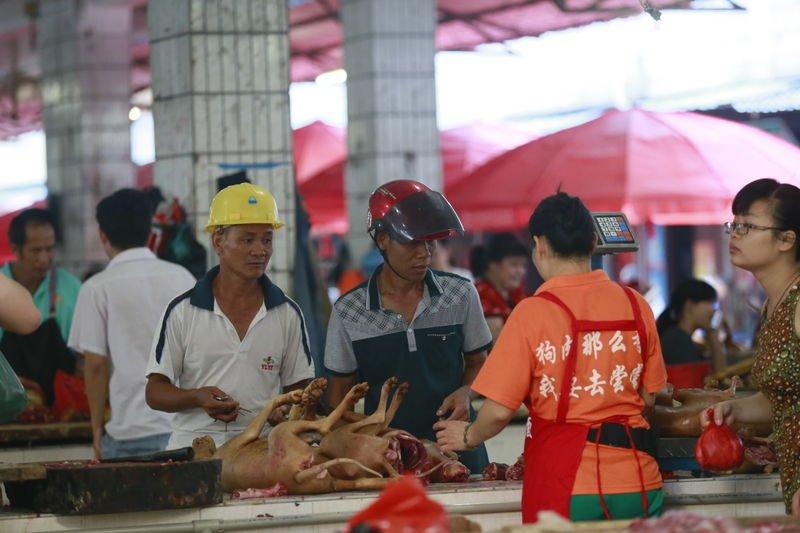 Çin'de köpek yeme festivali yapıldı