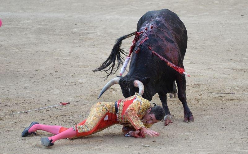 İspanya'da boğa güreşi düzenlendi
