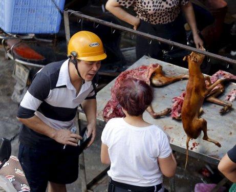 Çin'de köpek yeme festivali yapıldı